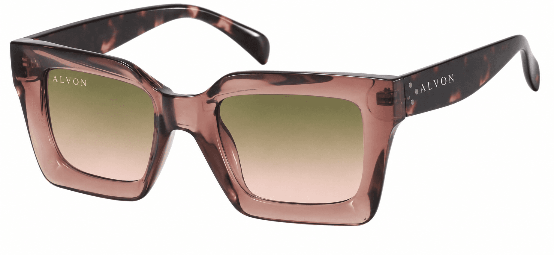 Rose Tortoise, vista lateral